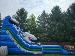 shark 1756070208 25Ft Shark Attack Water Slide